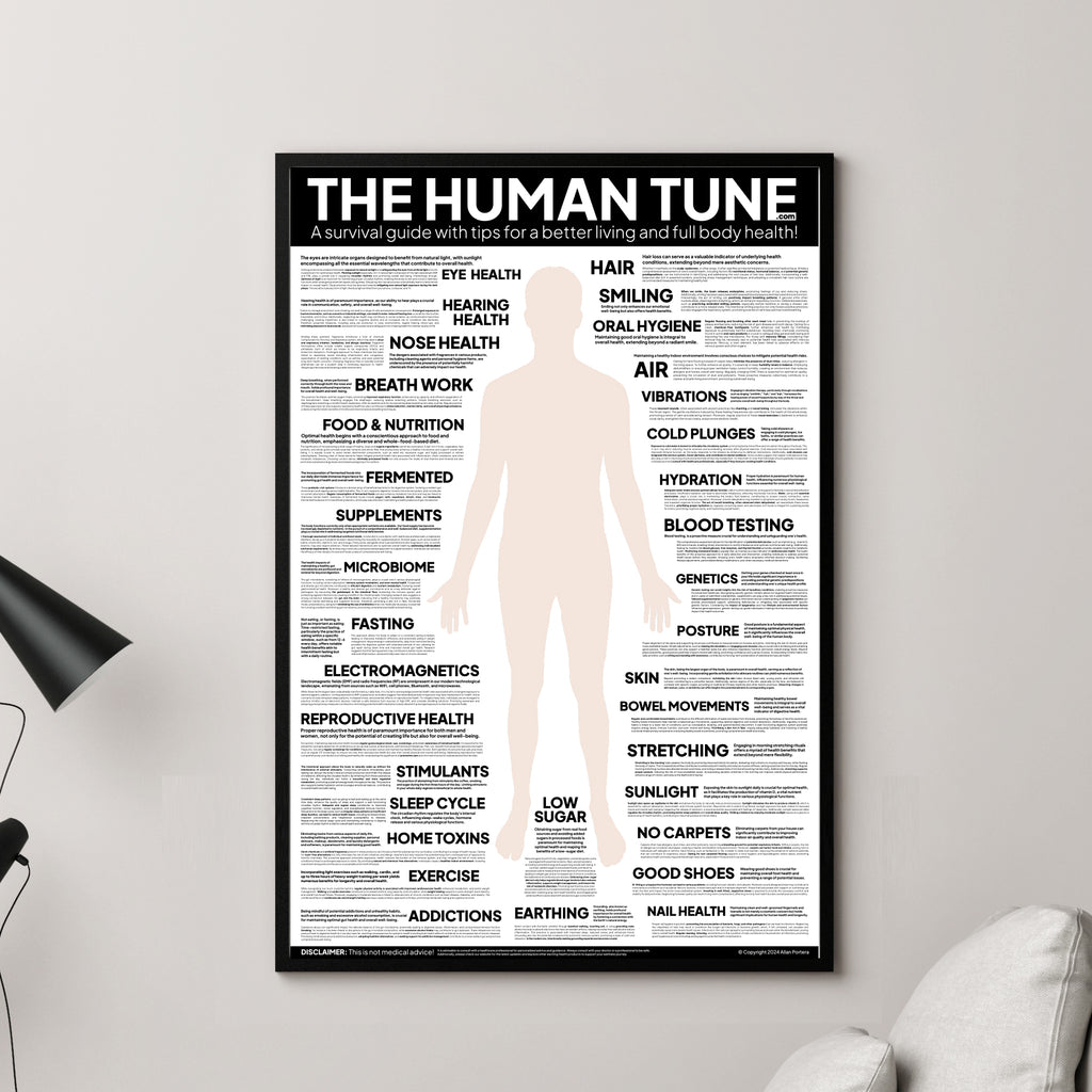 Small + Large Ukulele Cheatsheet Bundle — Best Music Stuff