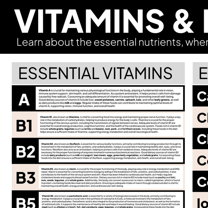 Vitamins & Minerals (and Plant Essentials) Poster (FULL SIZE 24x36 INCH DOWNLOADABLE PDF FILE)