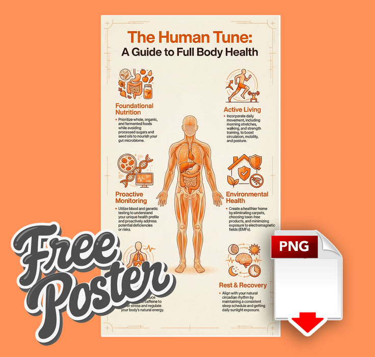 The Human Tune Poster (simple version) — A Guide to Full-Body Health (21 × 38 in)