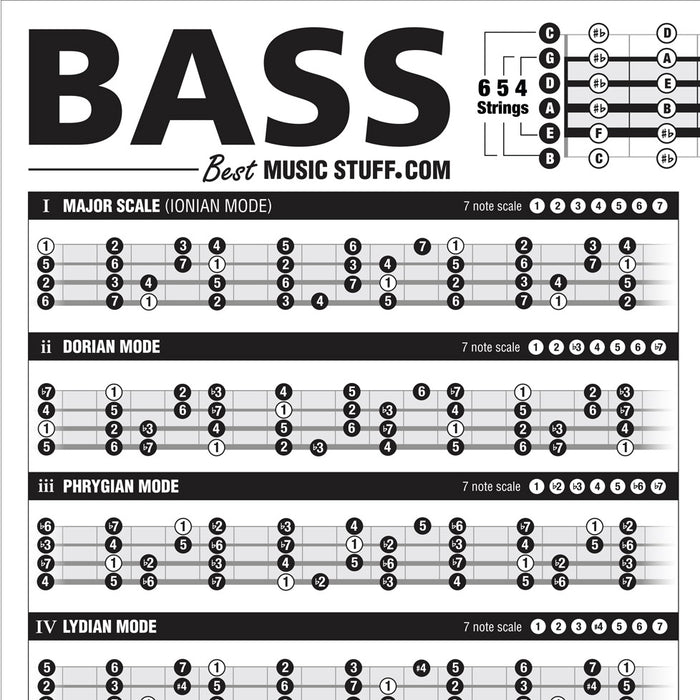 The Creative Bass Poster (Dry-Erase)