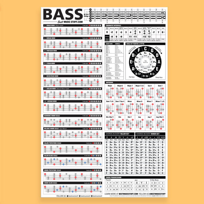 The Essential Bass Theory Reference Poster